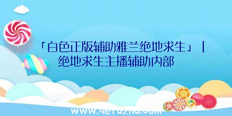 「白色正版辅助雅兰绝地求生」|绝地求生主播辅助内部